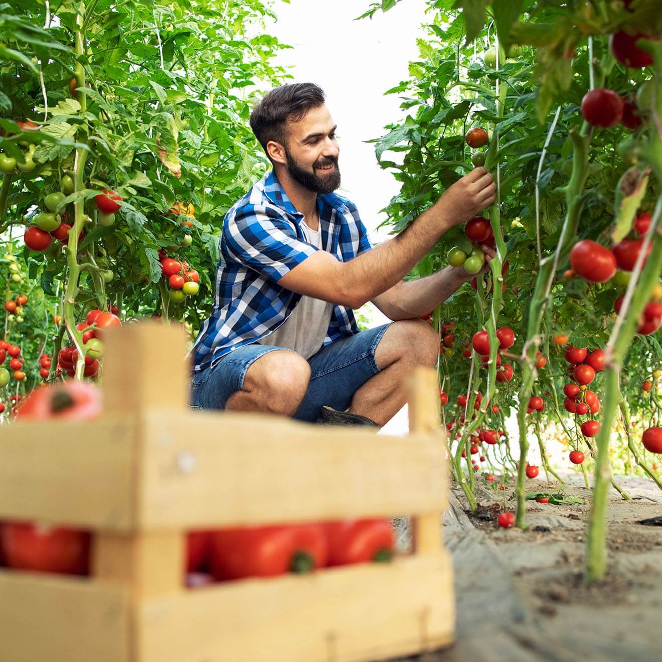 Keep Your Shopping List Organized by Grouping Items