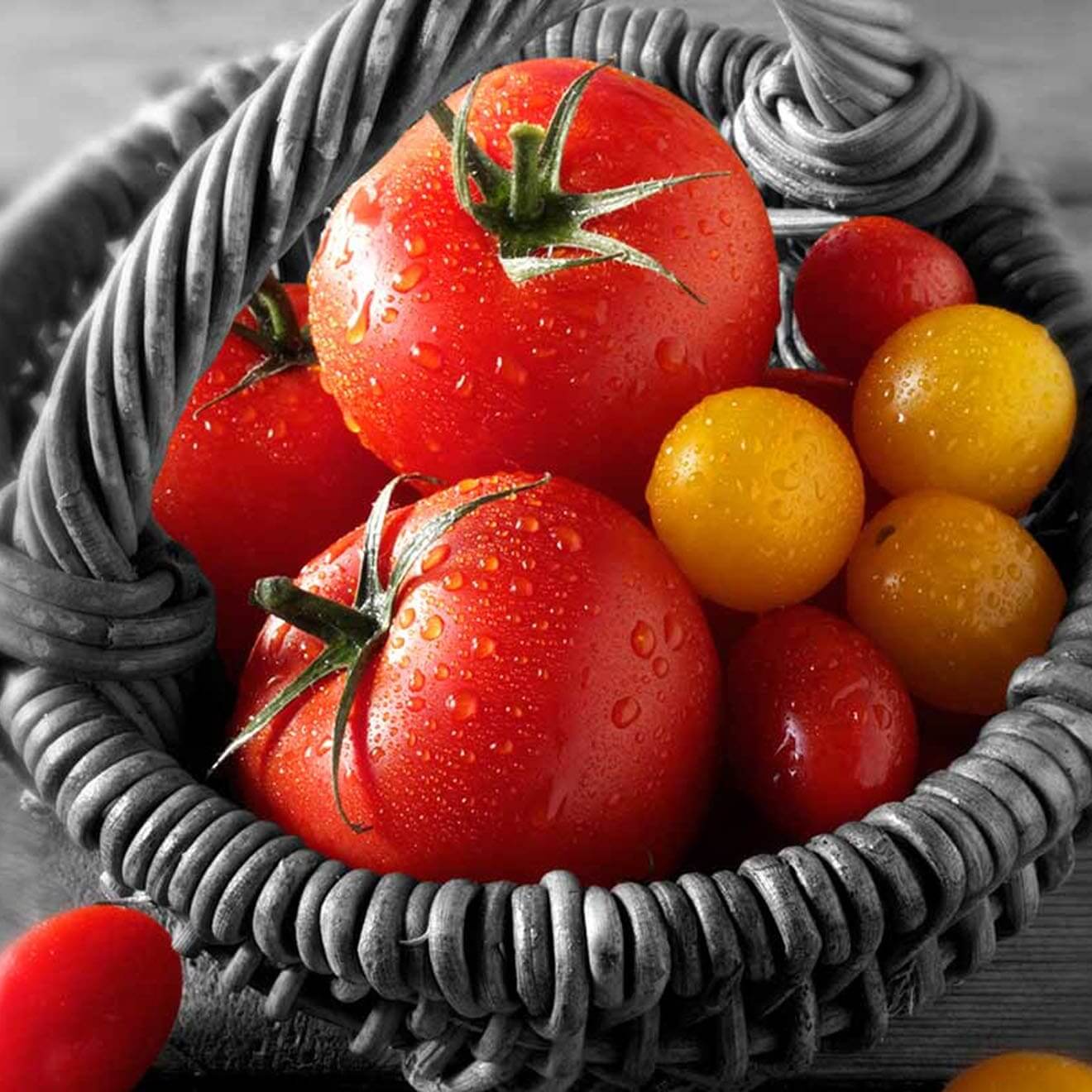 Organic Food Online Shop Exclusive Discounts on Fresh